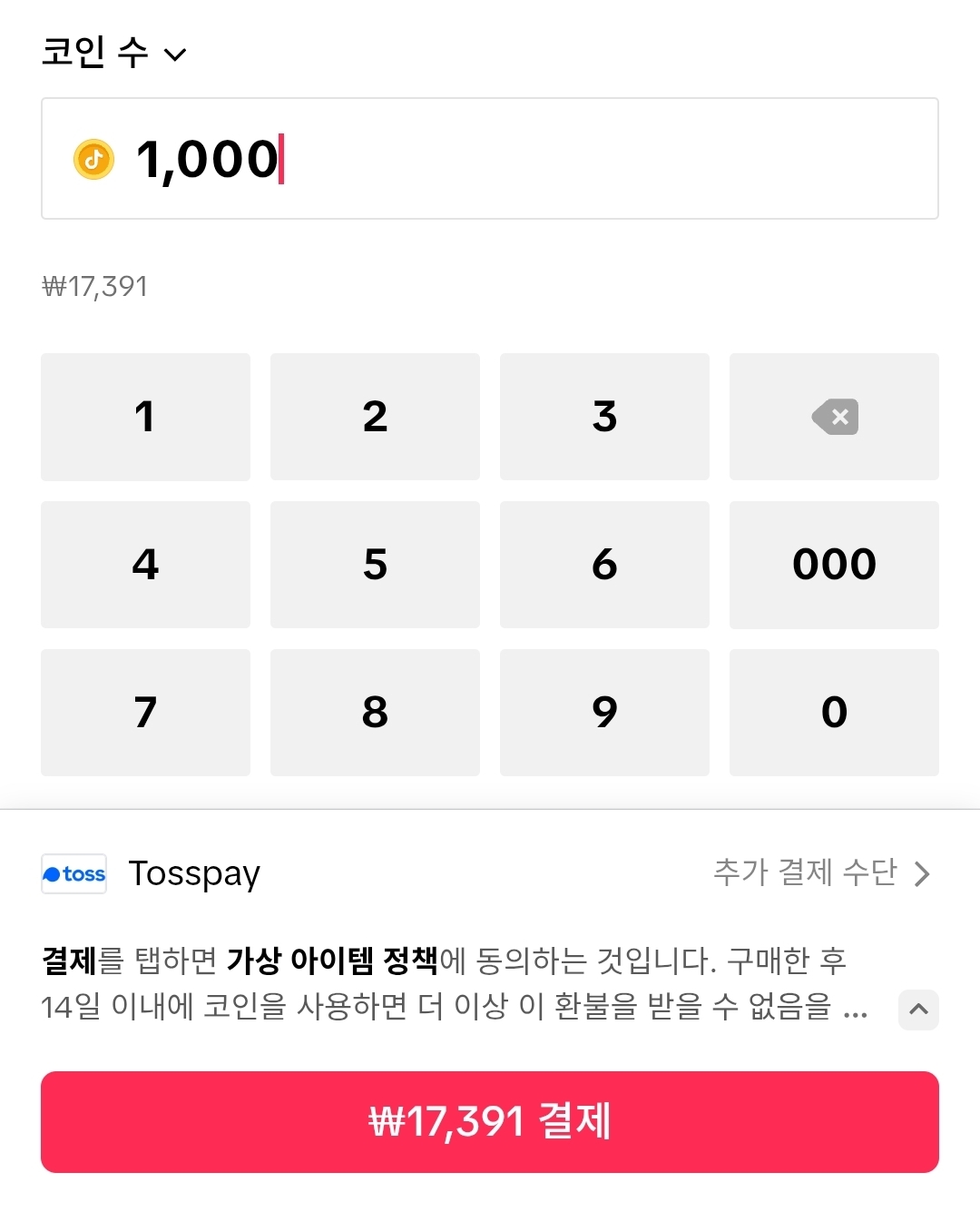 틱톡 공식 웹사이트 결제 화면